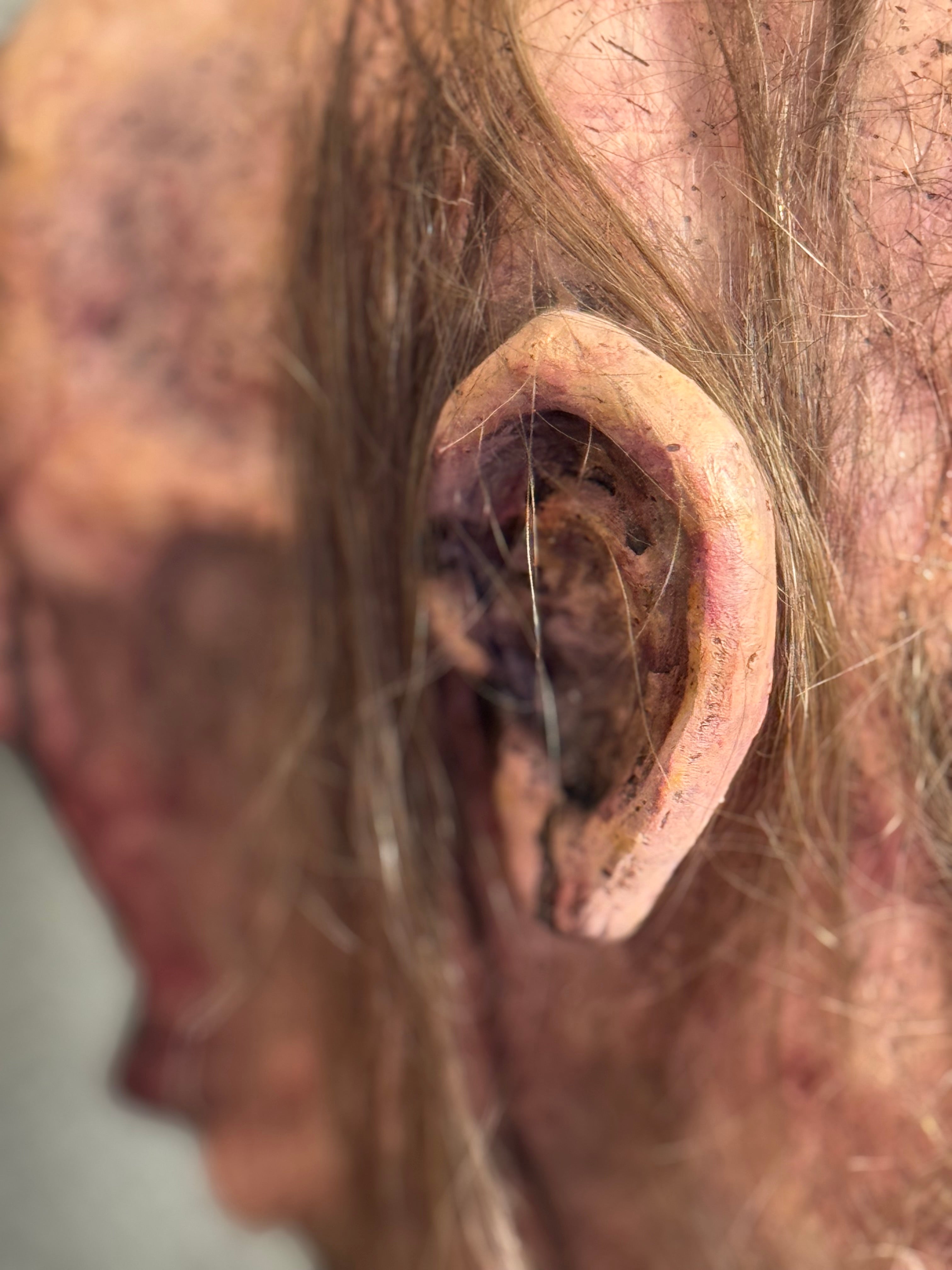 Zombie polyfoam and latex head Prop