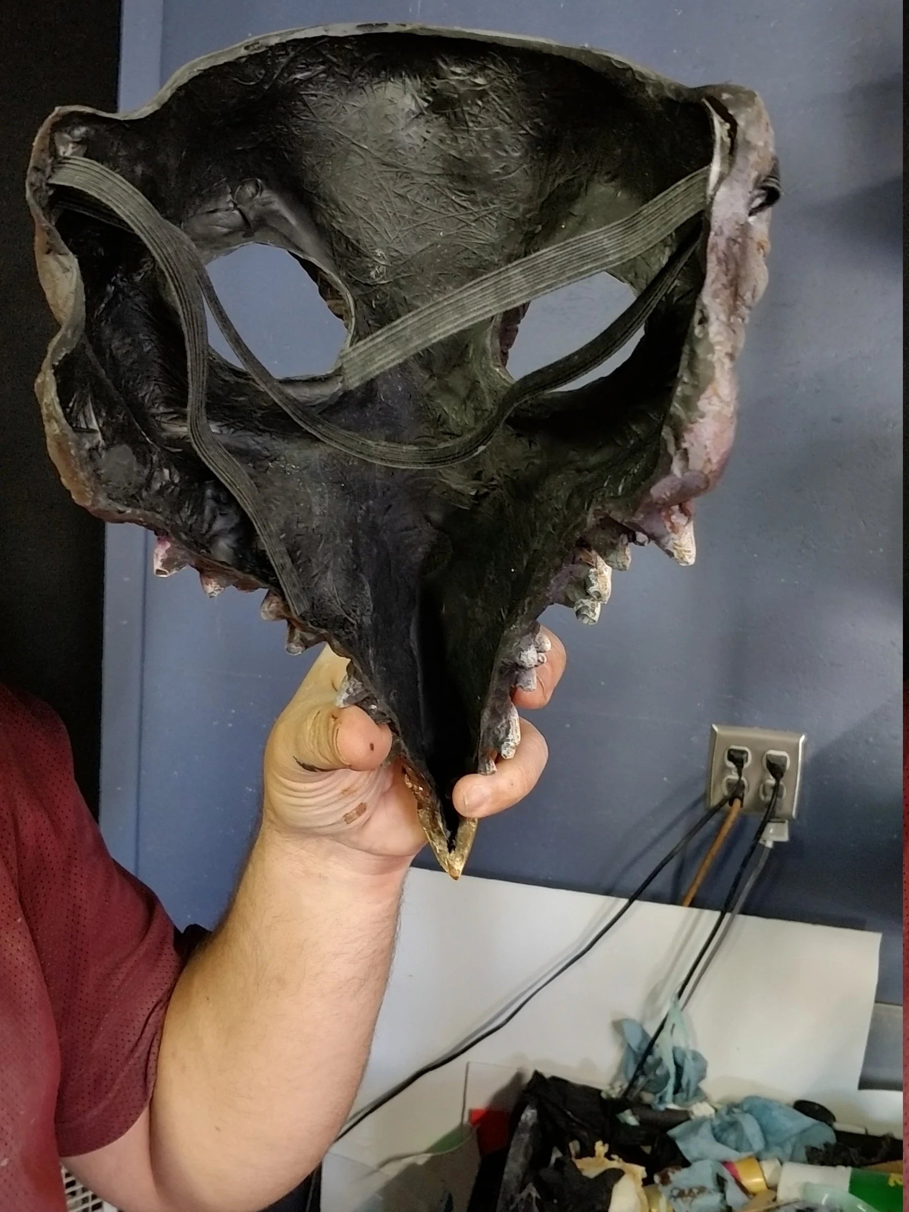 Emporer Overloard resin masquerade mask (made in the style of the Skeksis Emperor of the Dark Crystal)