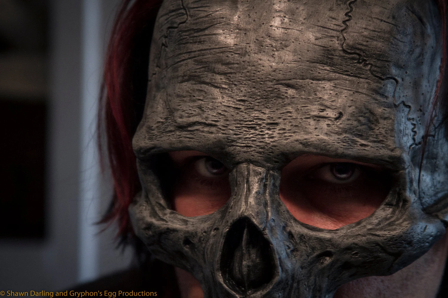 Gryphon's Egg Latex Skull Masquerade mask